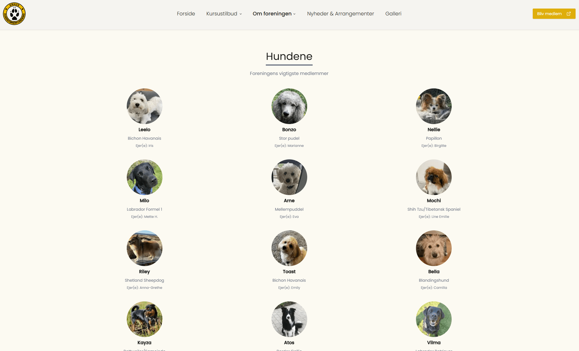 Aarhus Hundeførerforening Website — image 2